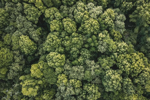 Musée et Gastronomie : les meilleurs musées de la gastronomie